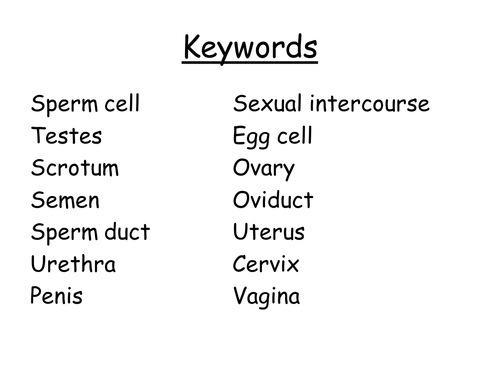 B1 3.2 Reproductive Systems