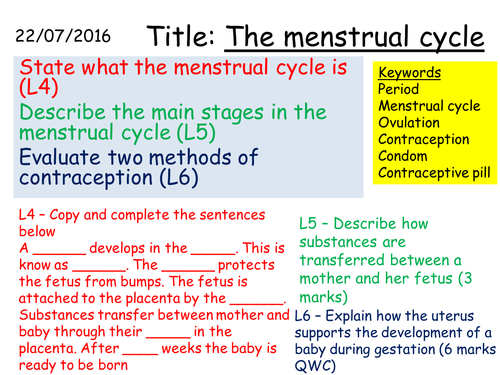 B1 3.5 The menstrual cycle