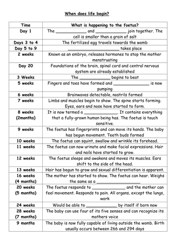 When does life begin?