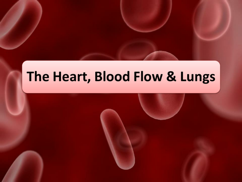 New AQA Biology The Heart & Circulation Lesson