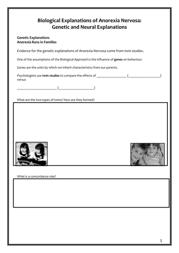 Eating Behaviour - Biological Explanations of Anorexia Workbook - New AQA 2015 Specification