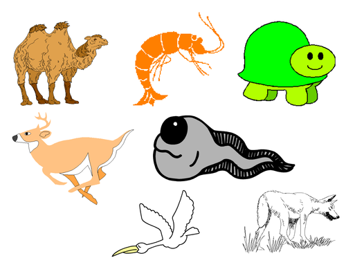 Animals Clip Art Mega Bundle 5 - Farm Animals, Wild Animals, Forest & Aquatic