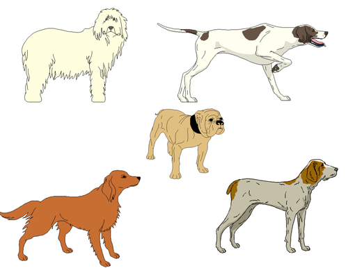 Dog Clip Art