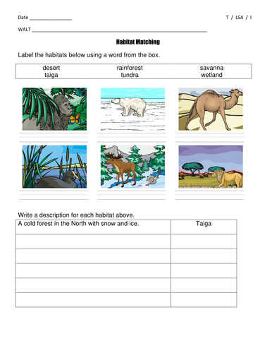 habitat matching worksheets differentiated year 2 key