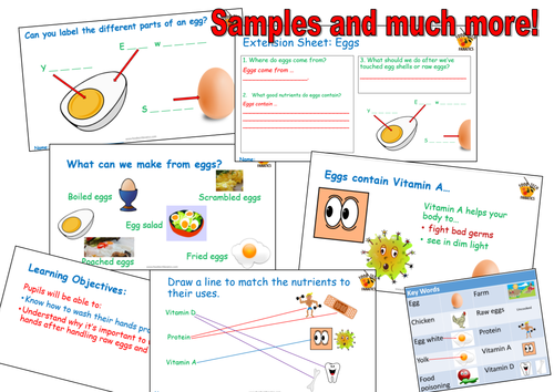 Where Do Eggs Come From Unit of Learning