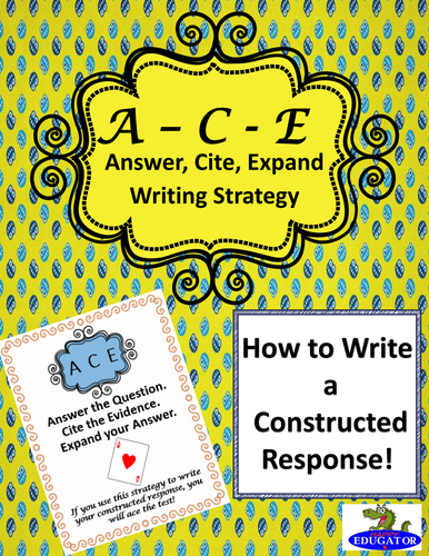 ACE Writing Strategy Posters and Practice Sheets