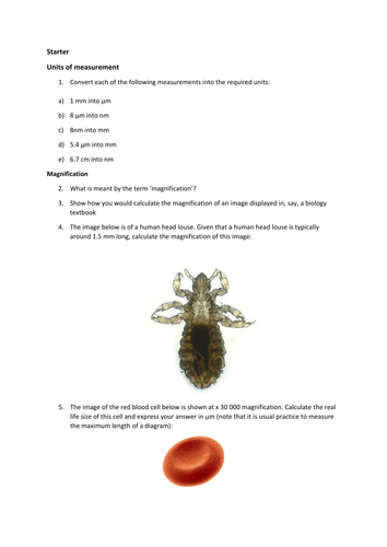 Units of measurement, calculating magnification of a louse and real size of a red blood cell