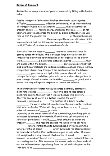 Passive and active transport review summary