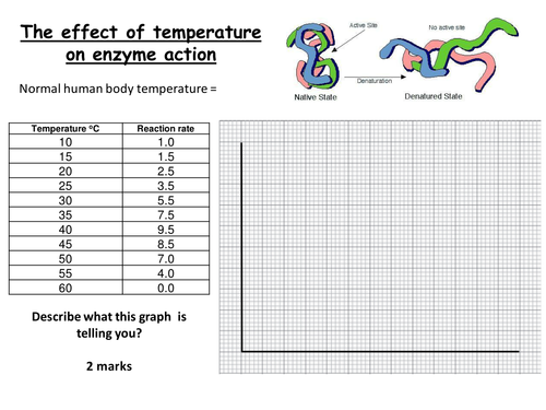 Factors affecting Enzyme Action