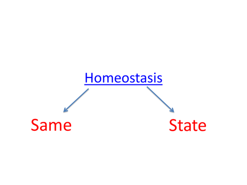 Homeostasis and Exercise