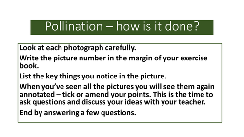 Ecology: Pollination in pictures! Posters, a differentiated Power Point lesson and a fill-in sheet
