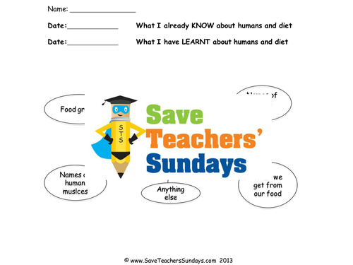 Carnivores, Omnivores and Herbivores KS2 Lesson Plan, Venn Diagram and Worksheet