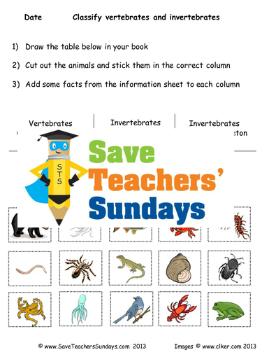 Animals with Skeletons and Without Skeletons KS2 Lesson Plan and Worksheet