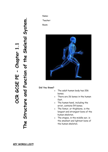 The Skeletal System revision/work booklet - Chapter 1.1 for OCR GCSE PE 2016 specification