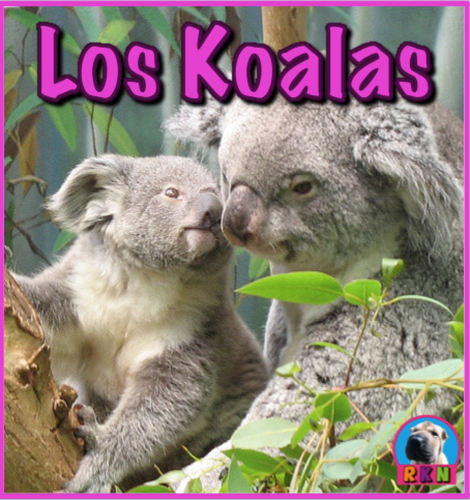 El Koala - PowerPoint