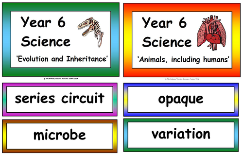 Year 1 - 6 Science Vocabulary Pack | Teaching Resources