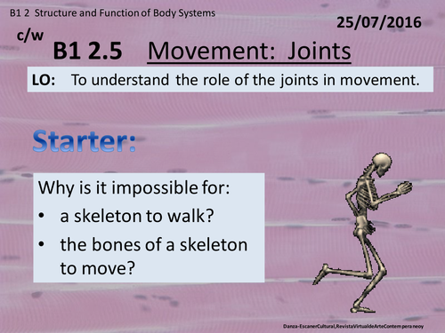 Activate 1:  B1:  2.5  Movement - Joints