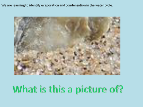 Y4 States of Matter - Condensation/ Evaporation-Water Cycle - Lesson 6  (Resources, PP and Planning)