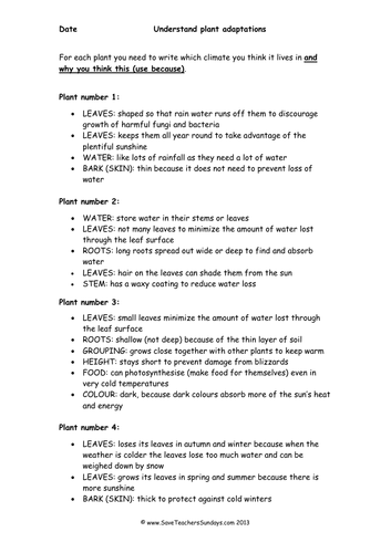 Plant Adaptations  KS2 Lesson Plan and Worksheets