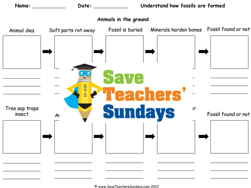 How fossils are formed lesson plan and worksheet by SaveTeachersSundays