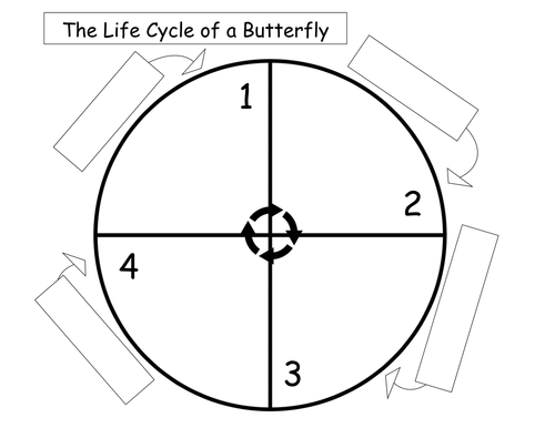 Butterfly Life Cycle Teaching Resources
