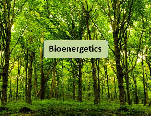 New AQA Spec Bioenergetics / Photosynthesis Lessons