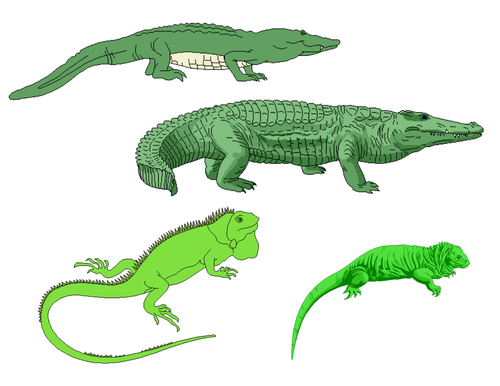 Reptiles Clip Art