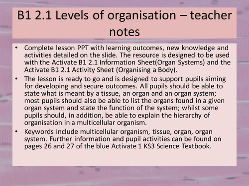 Activate 1:  B1:  Lessons for Chapter 2