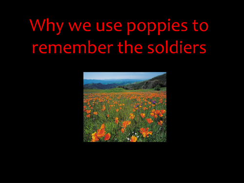 Why do we wear poppies? Informative slides for History discussion used in Y2