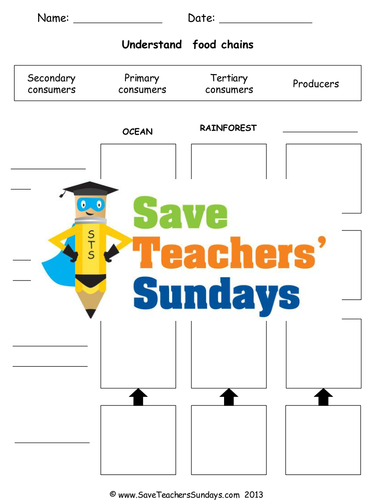 Food Chains KS2 Lesson Plan, Activity and Worksheet