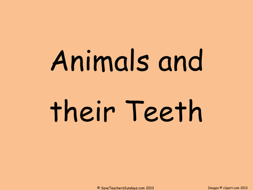 Types of Teeth KS2 Lesson Plan, PowerPoint and Worksheet