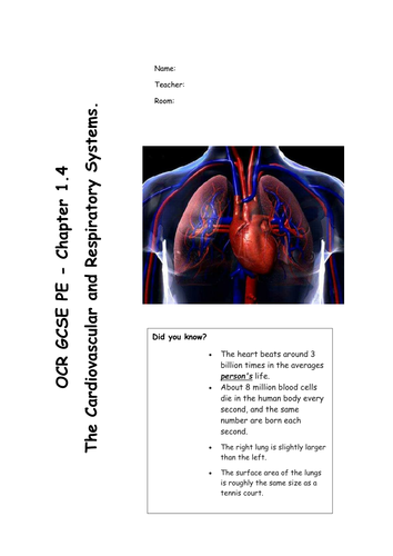 Chapter 1.4 Cardiovascular and Respiratory Systems for OCR GCSE PE 2016 specification REVISION