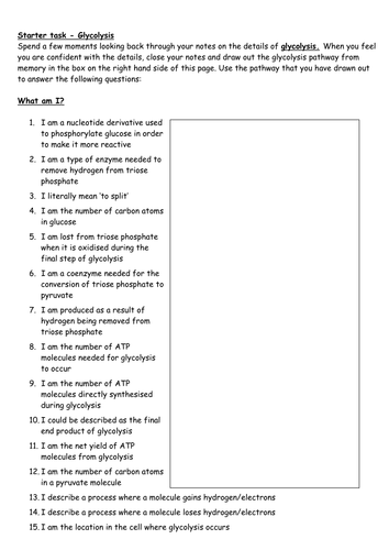 Glycolysis - a review of the basic facts