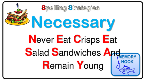 Basic Literacy Skills Bundle: Homophones and Apostrophes