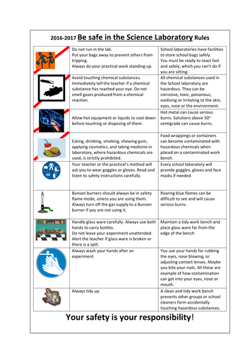 New year!  Laboratory rules and a Health and safety awareness lesson, high impact +Foundation ws.