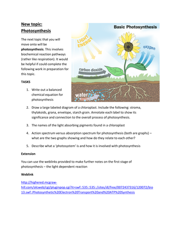 Photosynthesis - initial research task