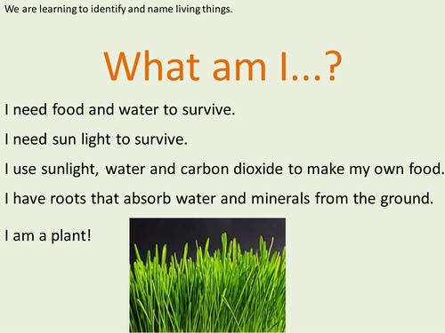 Y4 Living Things and their Habitats - Lesson 2, Identifying Living Things (Planning, PP, Resources)