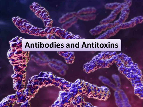New AS Biology Antibodies & Antitoxins Lesson