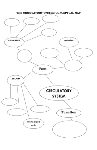 Circulatory System Concept Map Answers Circulatory System Concept Map | Campus Map