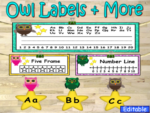 Owl Theme Labels and More Classroom Decor