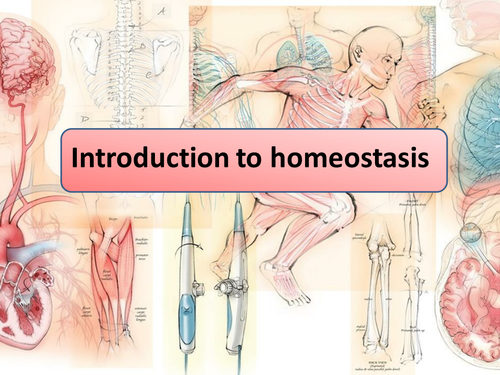 New GCSE AQA Biology Introduction to Homeostasis Lesson