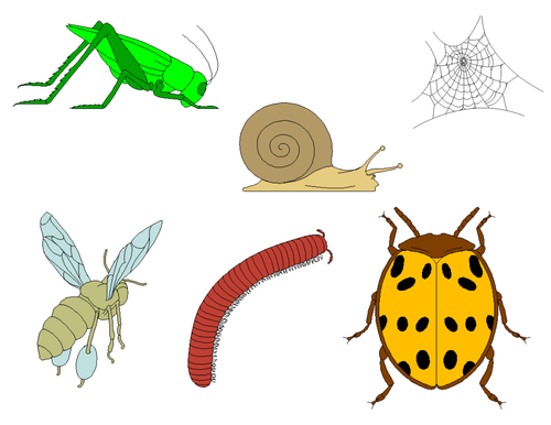 Insects Clip Art - Bugs Clip Art