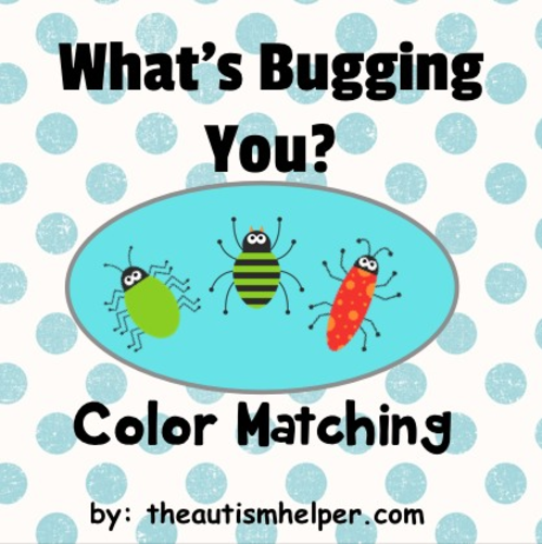 What's Bugging You? Color Matching Edition! Adapted Book