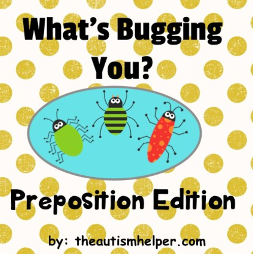 What's Bugging You? Preposition Edition! Adapted Book