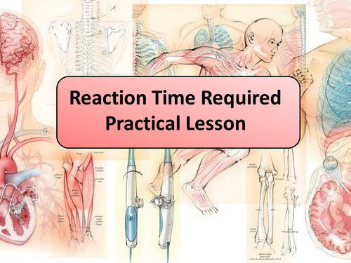 New AQA GCSE Biology Reaction Time Required Practical Lesson