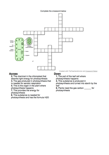 Photosynthesis revision crossword - for AFL, lesson plenary, lesson starter or revision