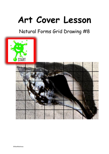 Art Cover Lesson Grid Drawing. Natural Forms 8
