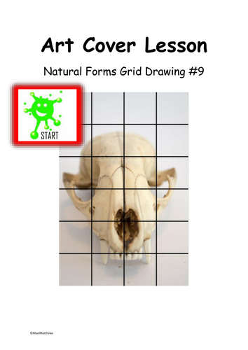Art Cover Lesson Grid Drawing. Natural Forms 9