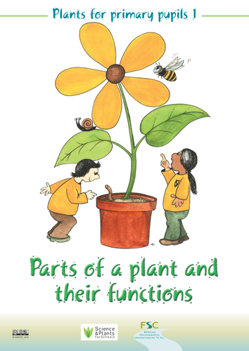 "Plants for Primary Pupils" teachers' book - Book 1: Parts of a plant