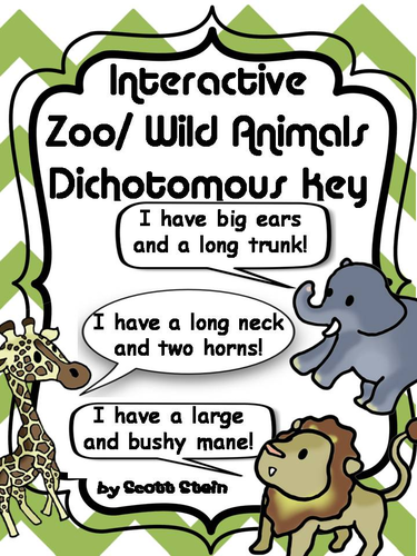 Zoo Animals